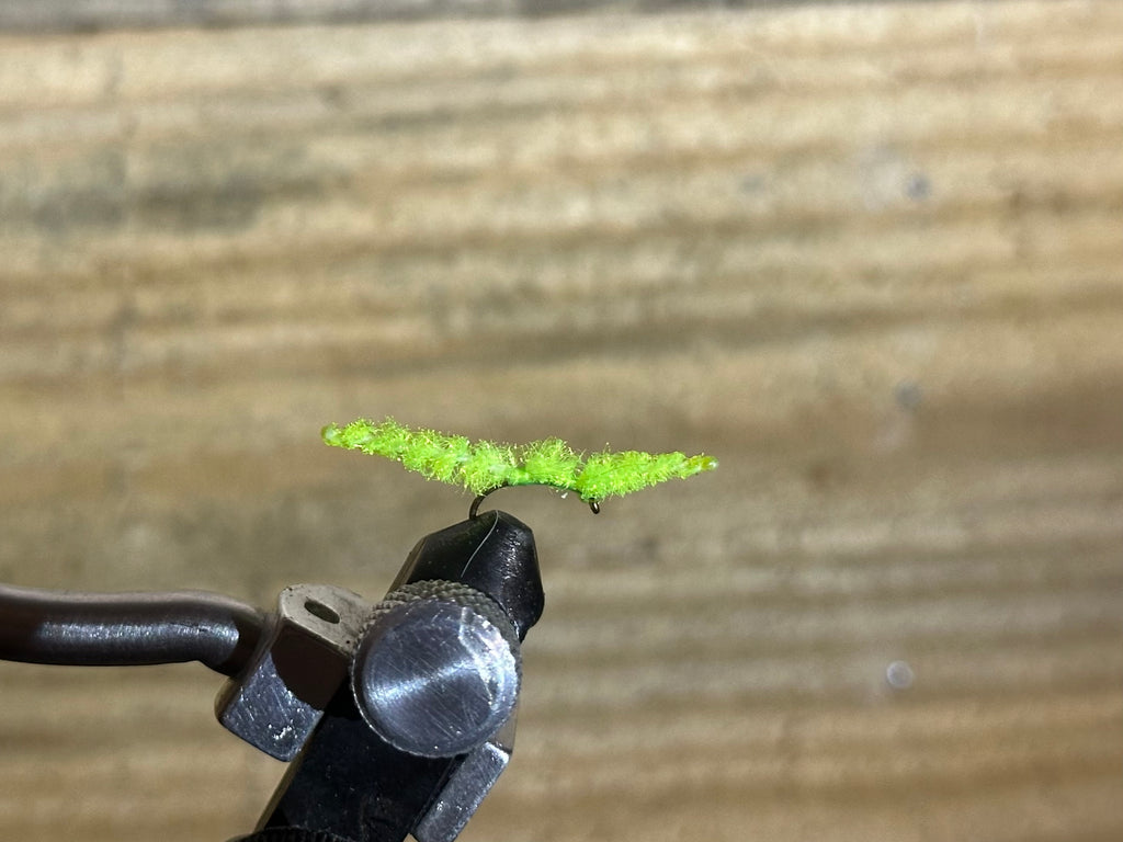 The "Guide" Worm