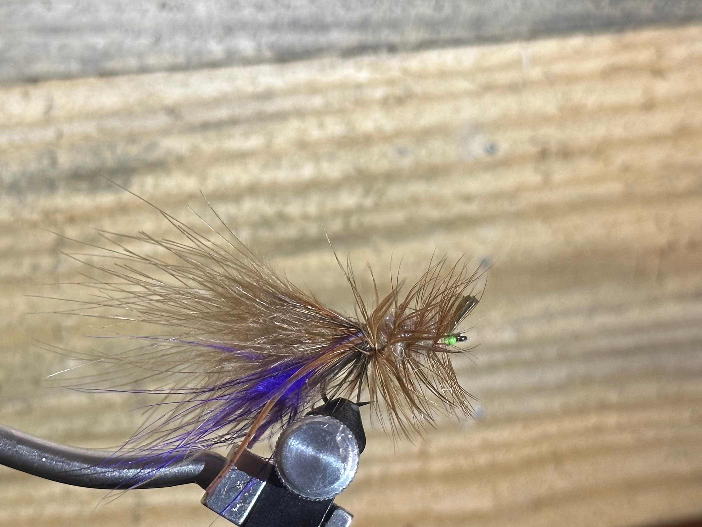 The Hackle Shrimp