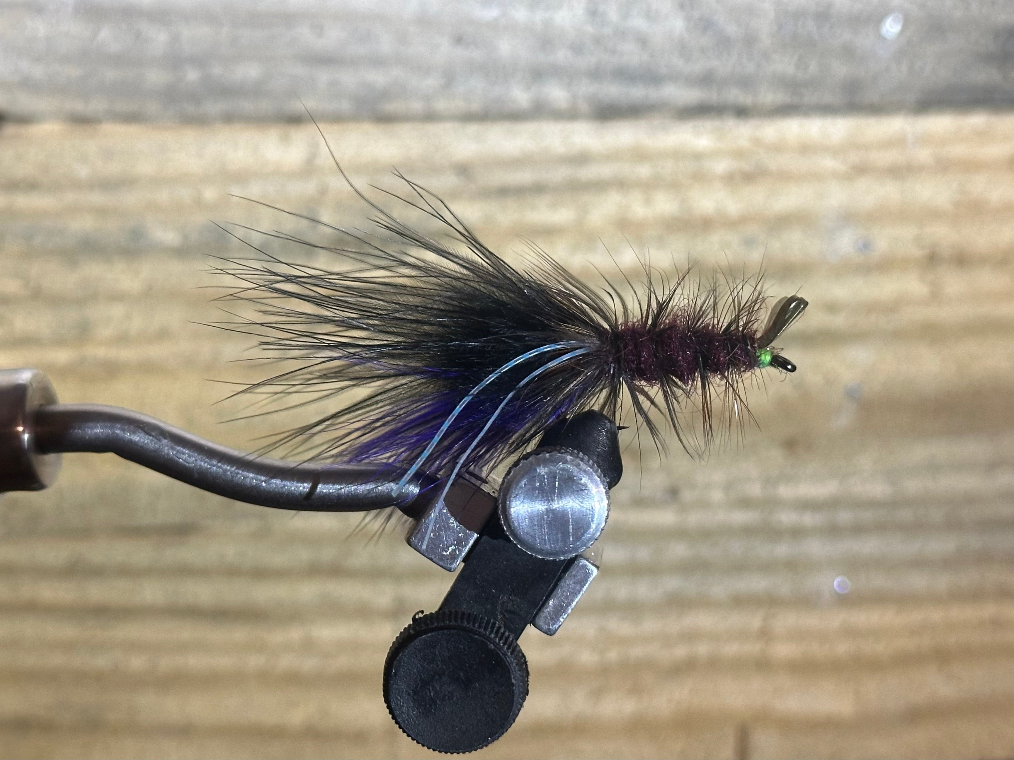 The Hackle Shrimp