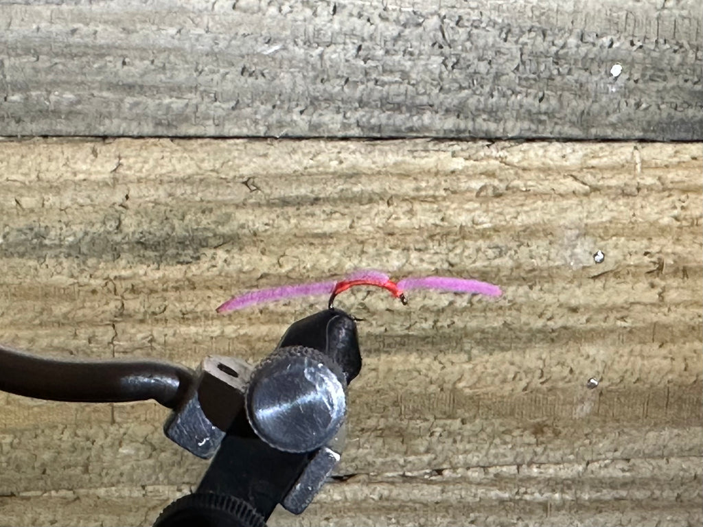 The "Guide" Worm